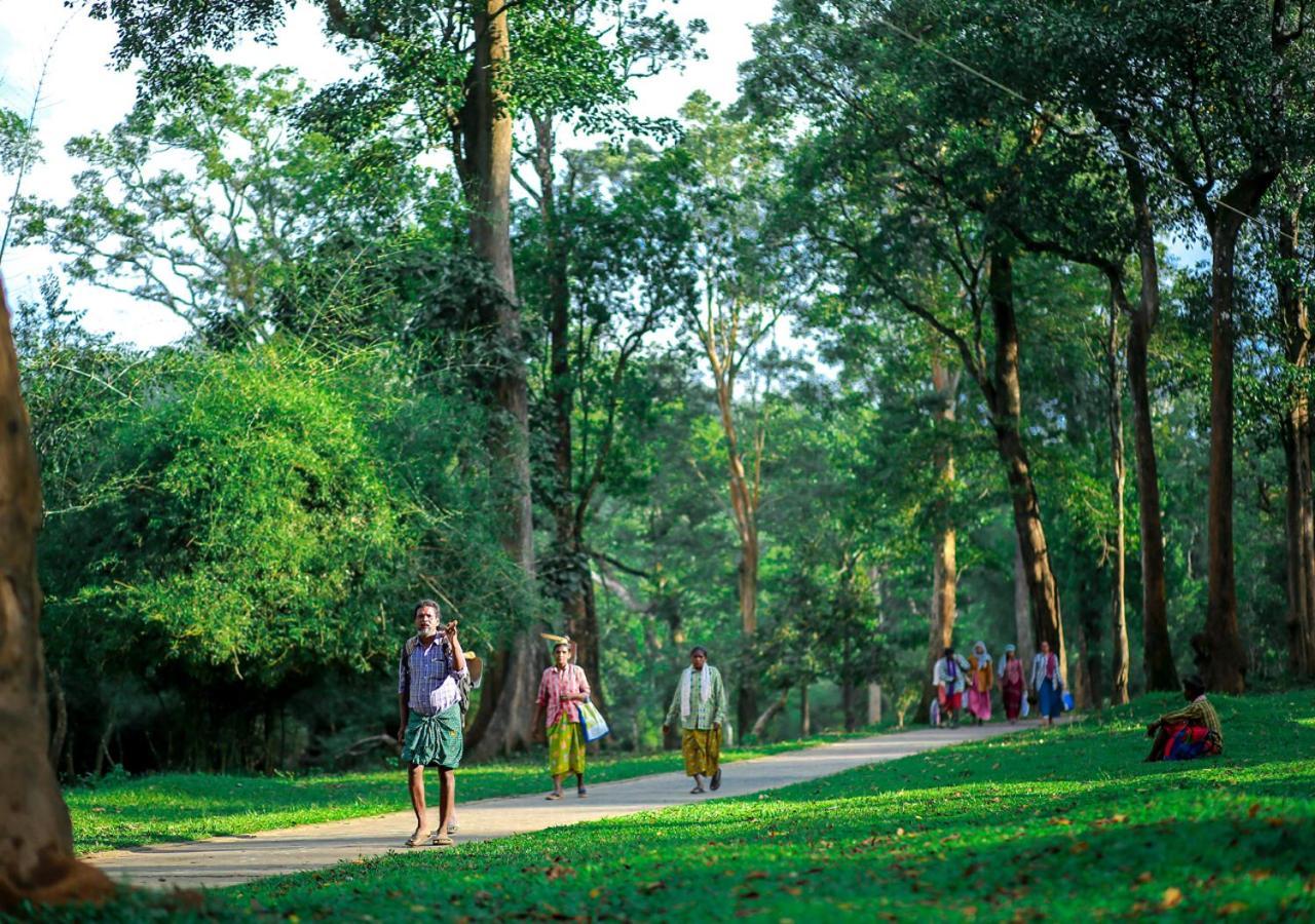 Tusker Inn Wayanad Forest Villa By Voye Homes Exteriör bild