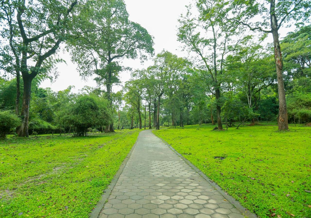 Tusker Inn Wayanad Forest Villa By Voye Homes Exteriör bild