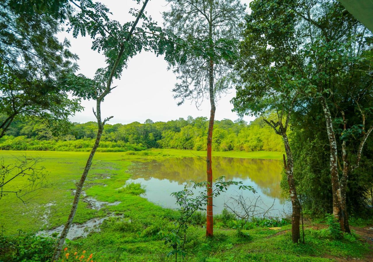 Tusker Inn Wayanad Forest Villa By Voye Homes Exteriör bild